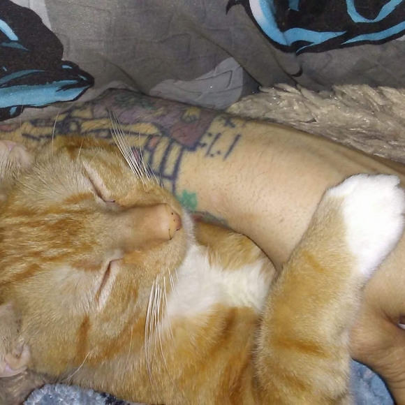 Meet your Posher, Jessica - Picture 11 of 14